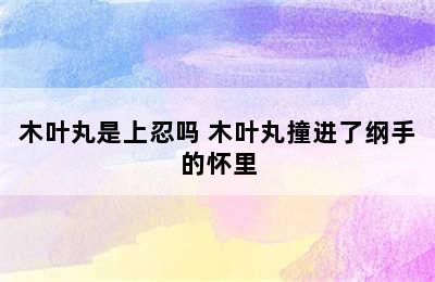 木叶丸是上忍吗 木叶丸撞进了纲手的怀里